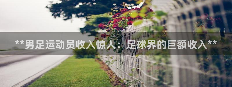 星欧娱乐平台怎么样知乎