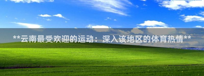 星奥娱乐集团股份有限公司招聘