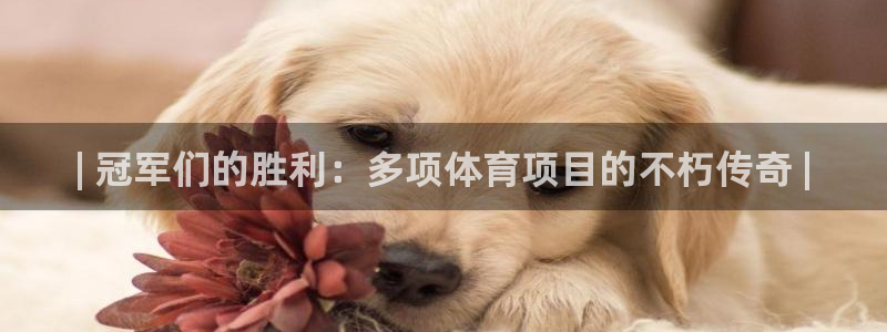 星欧娱乐扣款怎么回事
