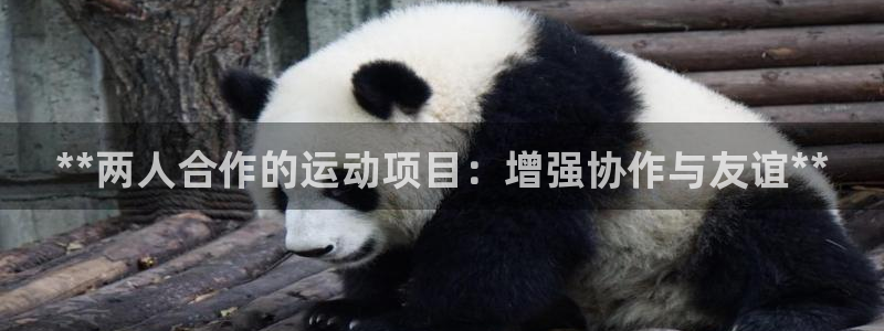 星娱乐online创作的原声胡歌吴磊