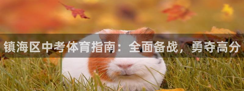 新星娱乐怎么开挂