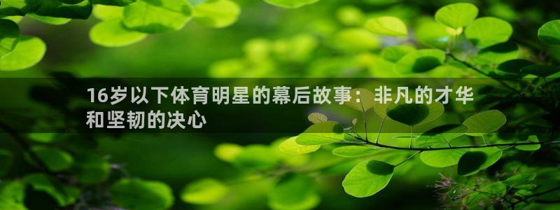 星欧娱乐公司电话号码多少