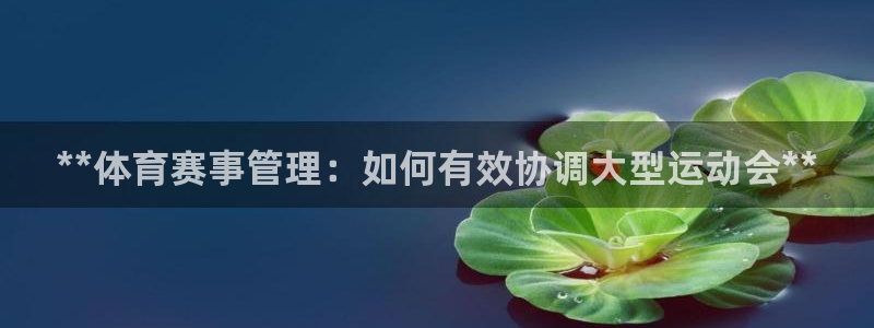星奥娱乐集团是国企吗