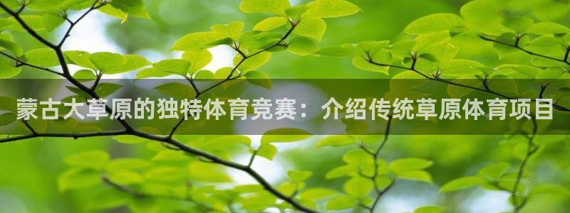 星欧娱乐是什么品牌