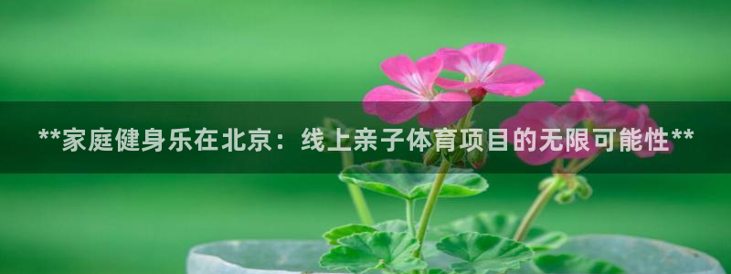 星娱乐文化传媒有限公司