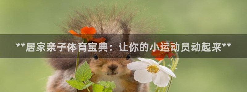 星欧娱乐联最新功能介绍