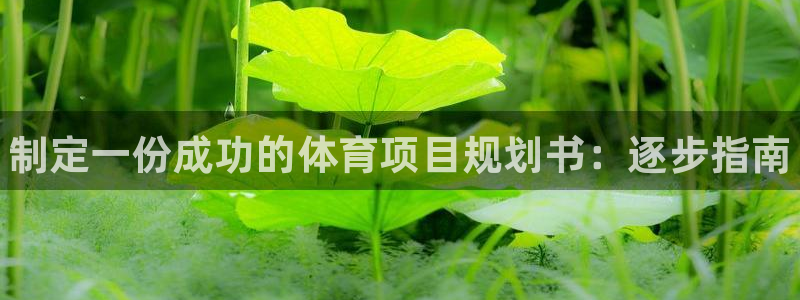 星欧娱乐扣费处理方法