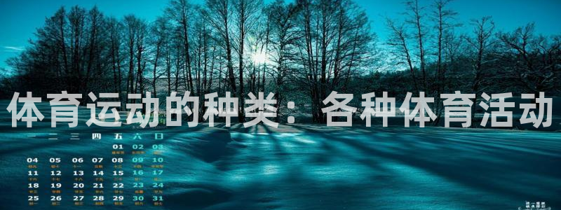 澳星国际娱乐集团