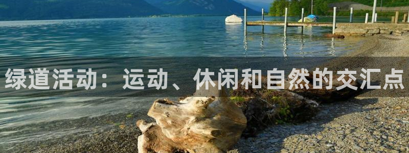 星欧娱乐属于什么档次的公司啊