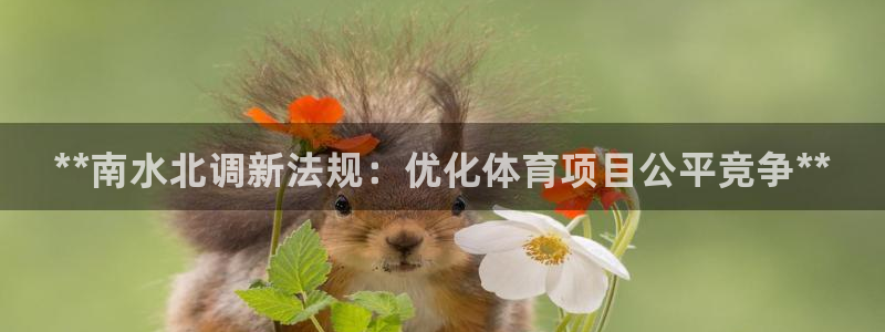 星欧娱乐挂机教程视频