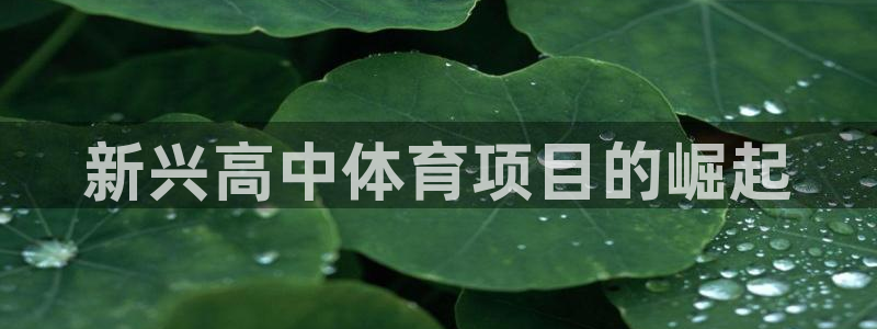星欧娱乐官网首页入口